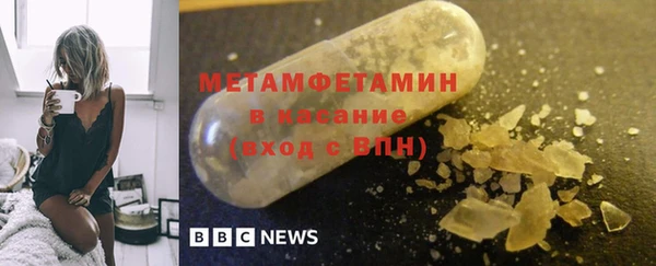 индика Нея