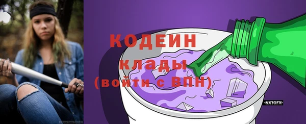 индика Нея