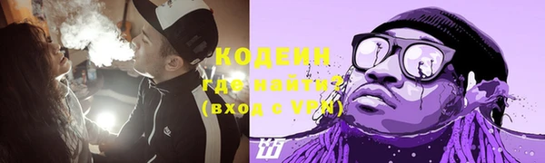 индика Нея