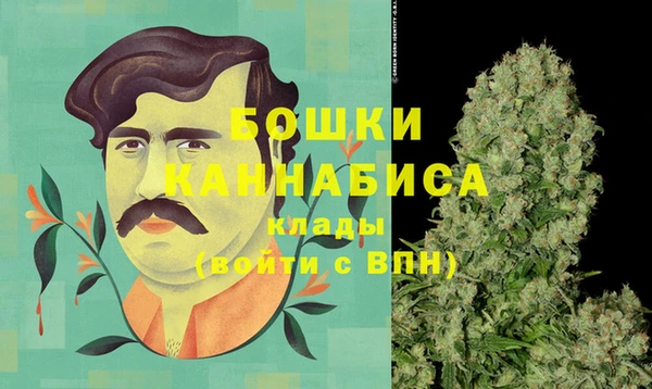 индика Нея