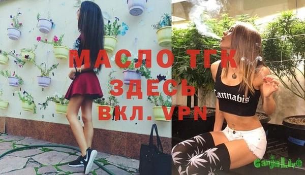 индика Нея