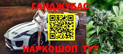 сатива Заволжье