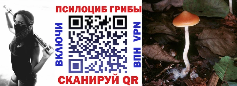 Галлюциногенные грибы Cubensis Павлово
