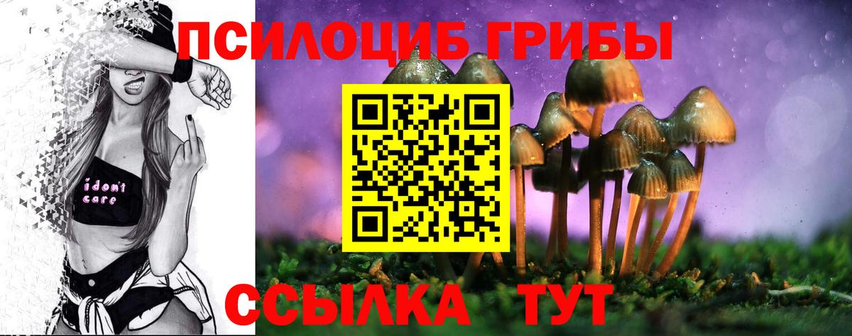 Псилоцибиновые грибы мицелий  Вход с VPN  Псилоцибиновые грибы мицелий  Павлово 