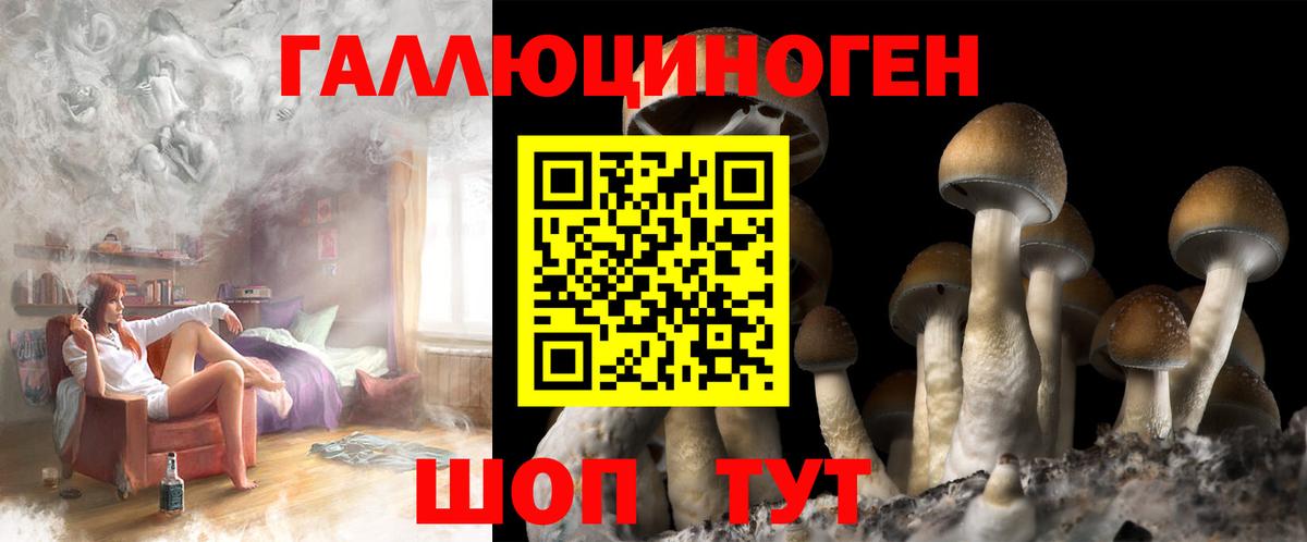 Псилоцибиновые грибы мухоморы Павлово